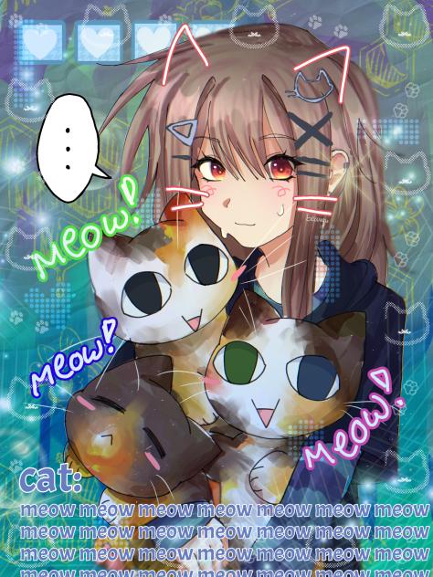 please do not the cat