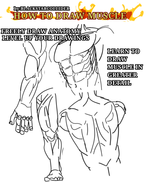 HOW TO DRAW ANATOMY