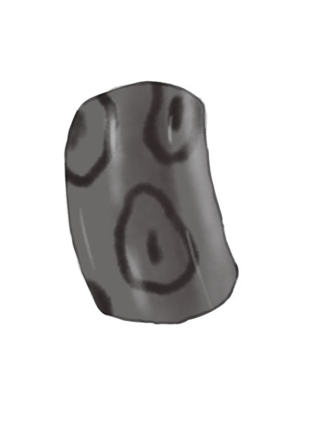 kind coloring 2023.03.17.0715