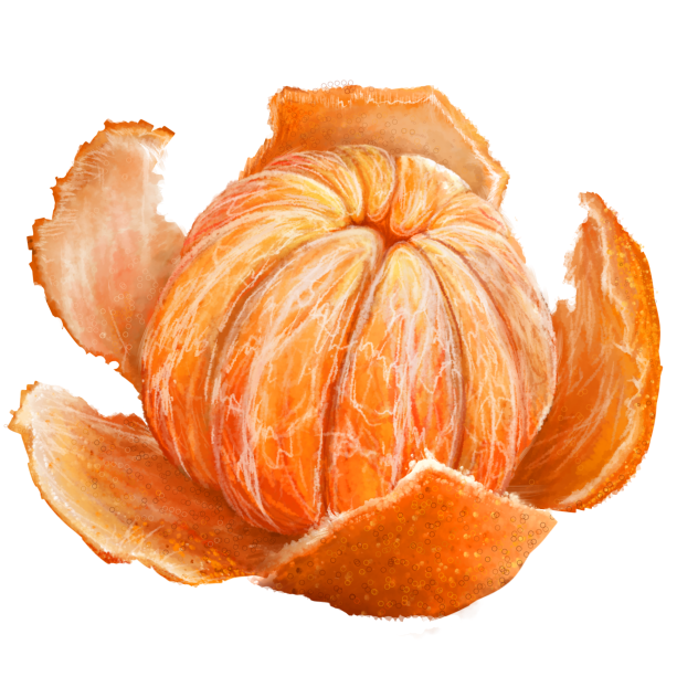 peeled mandarin2