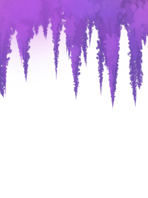 Wisteria