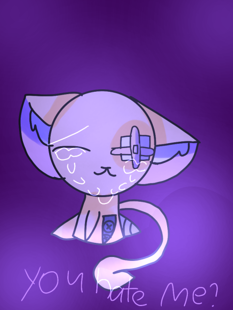 old oc cat