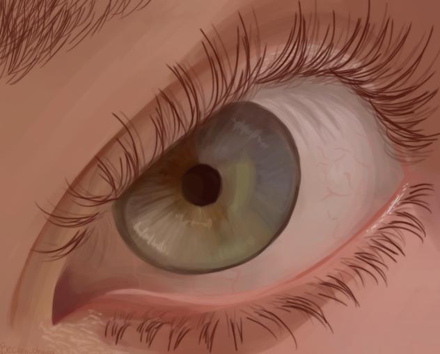 Eye