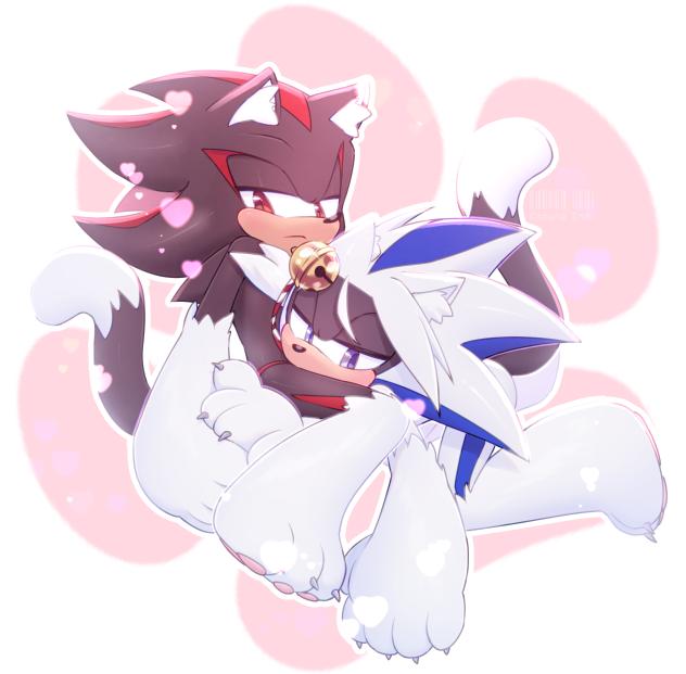 cat shadow  & cat Endi
