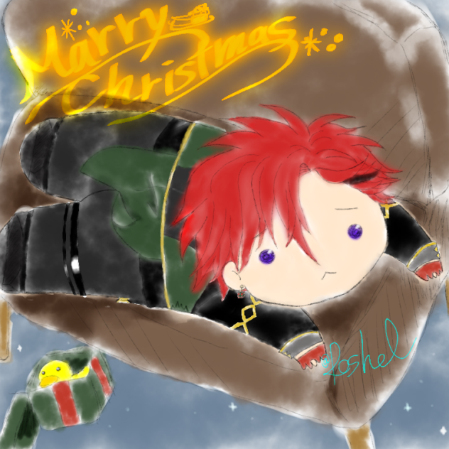 クリスマスキベラ