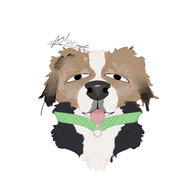 art of my dog