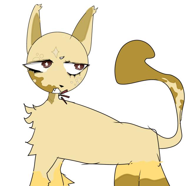 Random oc