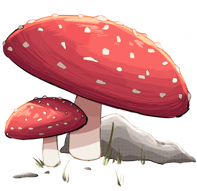Fungi