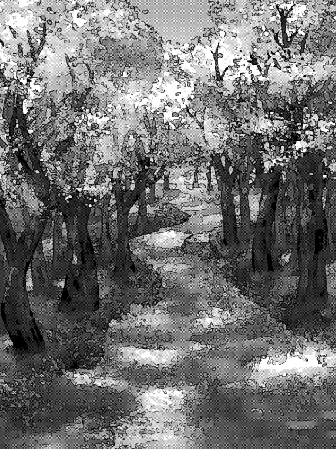 Cherry blossom trees2