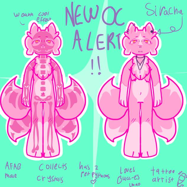 Siracha the four tailed fox