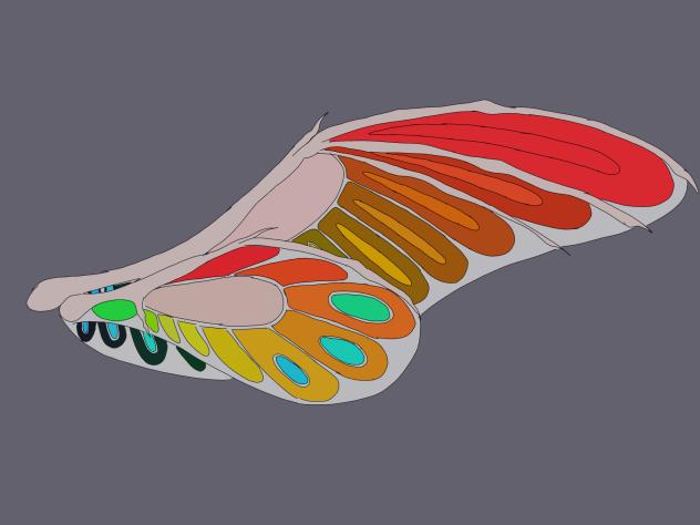 Peach cloud’s wing (FW)