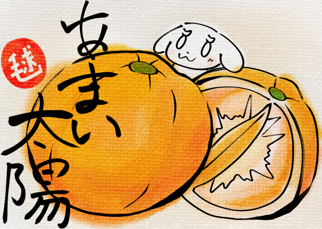 しかめとポンカン