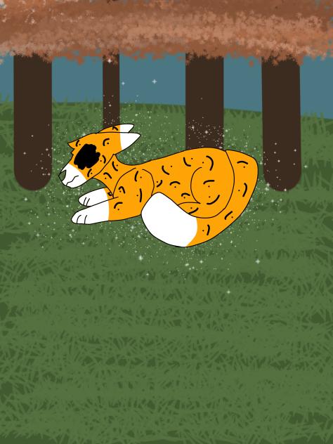 It’s been a while since I’ve posted lol