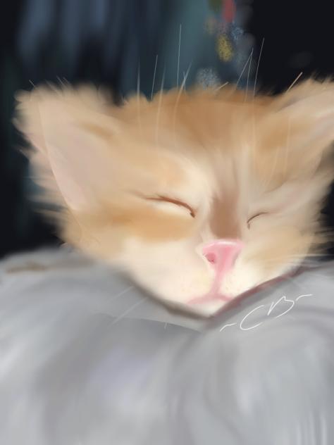 Kitty attempt