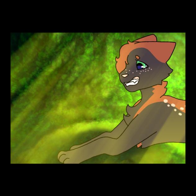 Part of a MAP part Part 2