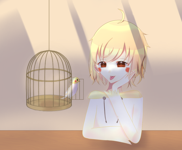 オカメインコ。