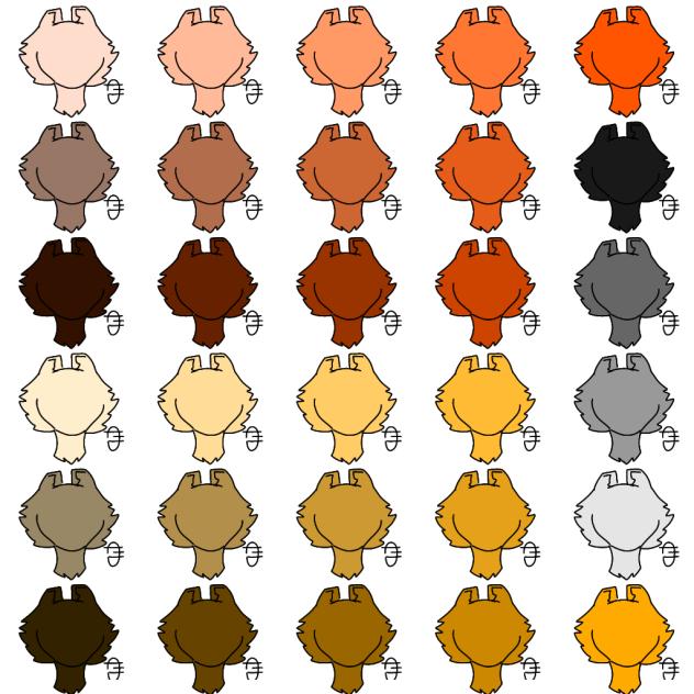 30 color furs