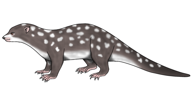 Waitoreke (2023) render