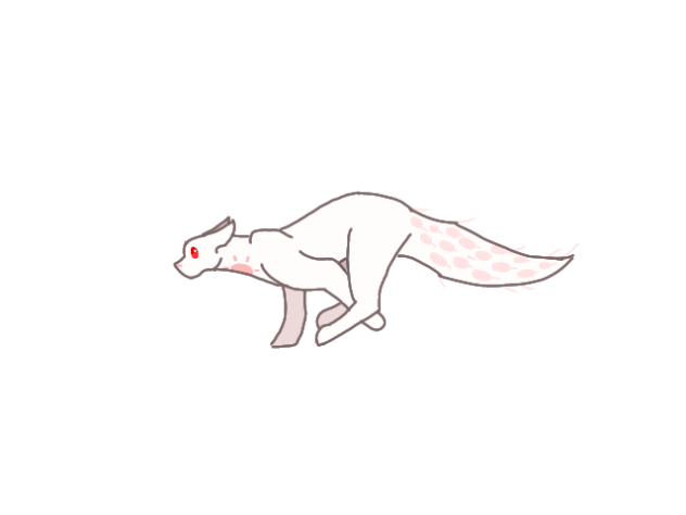 slug cat animated