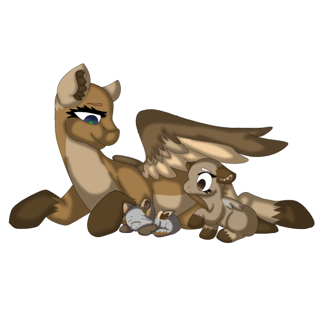 Dust tail meet eclipse