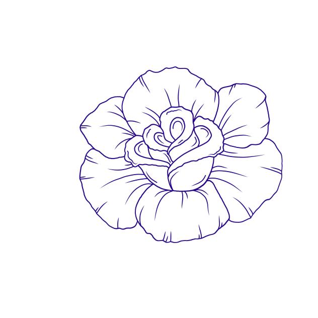 rose