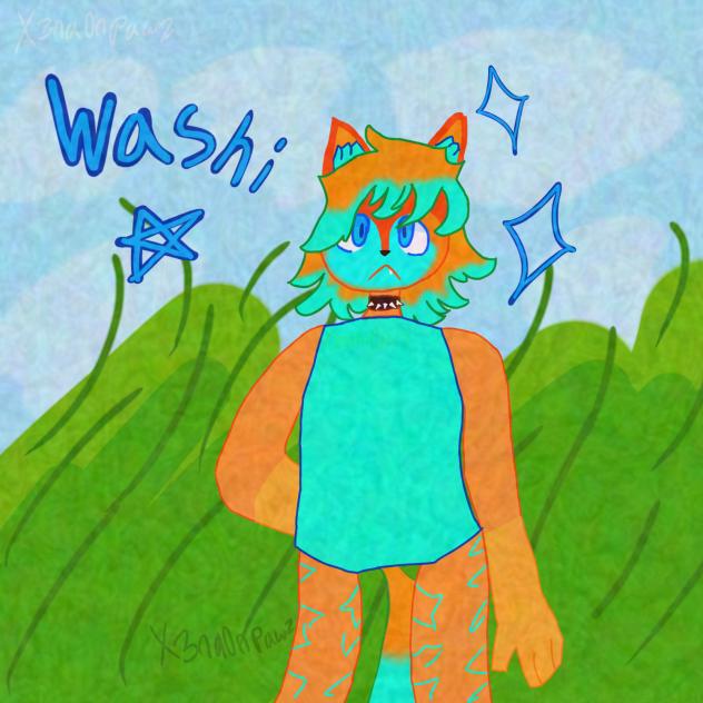 和紙 (Washi)