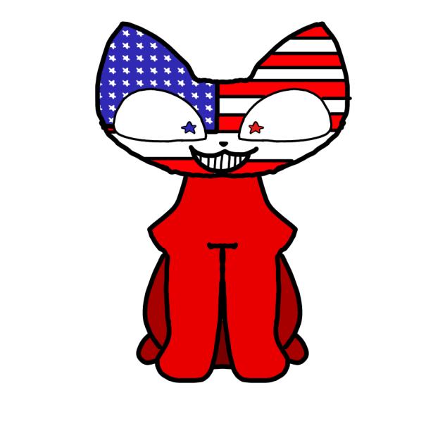 no glasses American kitty