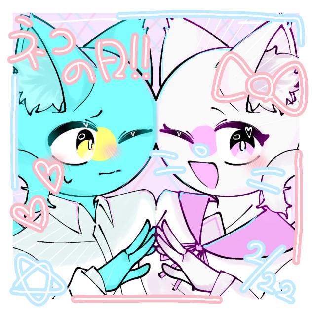 ねこの日ー！！