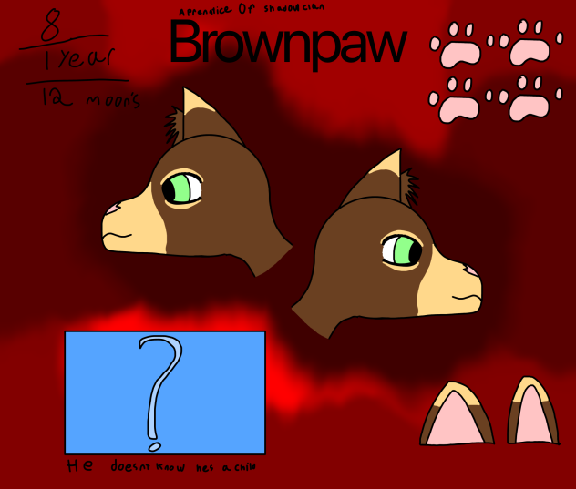 Brownpaw concept