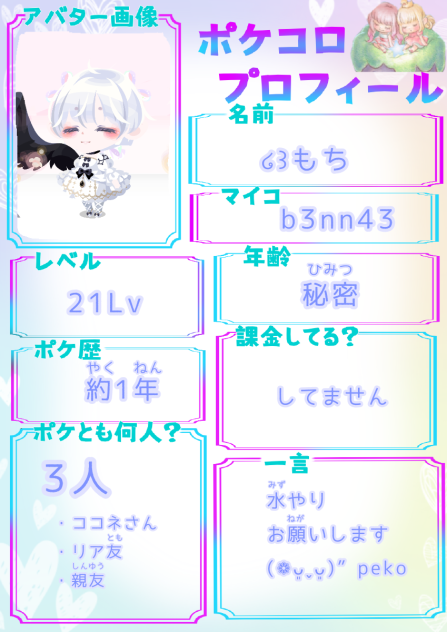 ポケコロプロフィール2