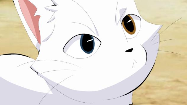 Mai's cat (bubbles)