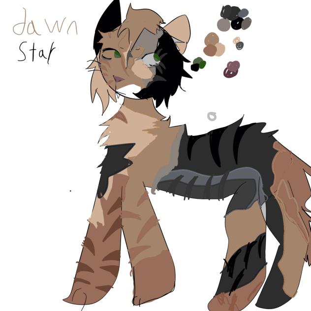 Dawn star -warrior cats oc-