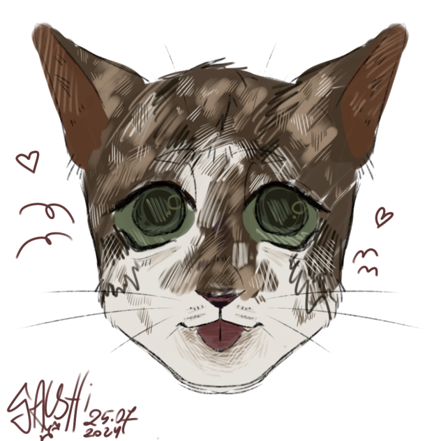 cat
