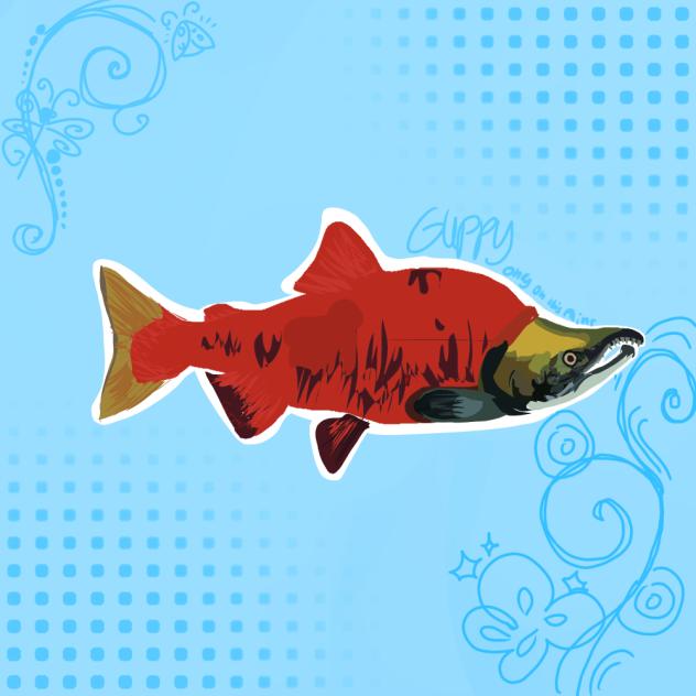 Salmon doodle 🍣