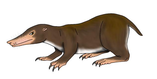 Blood Shrew render