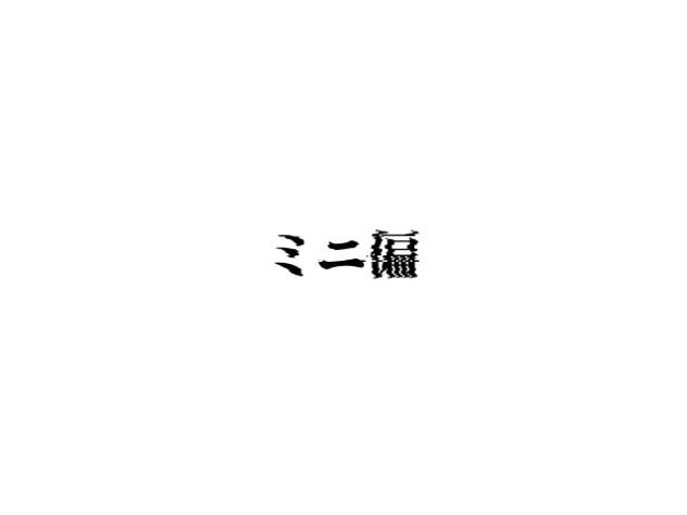 ミニ偏