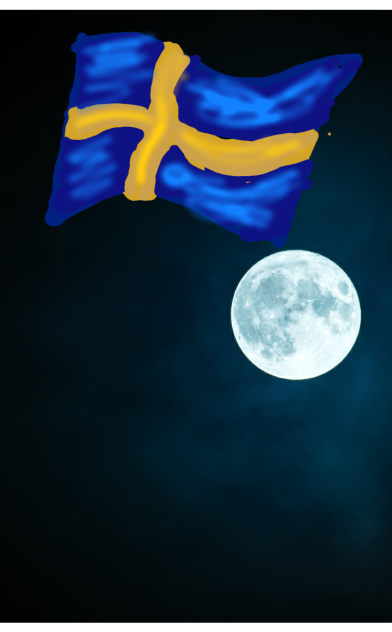 Swedish Flag