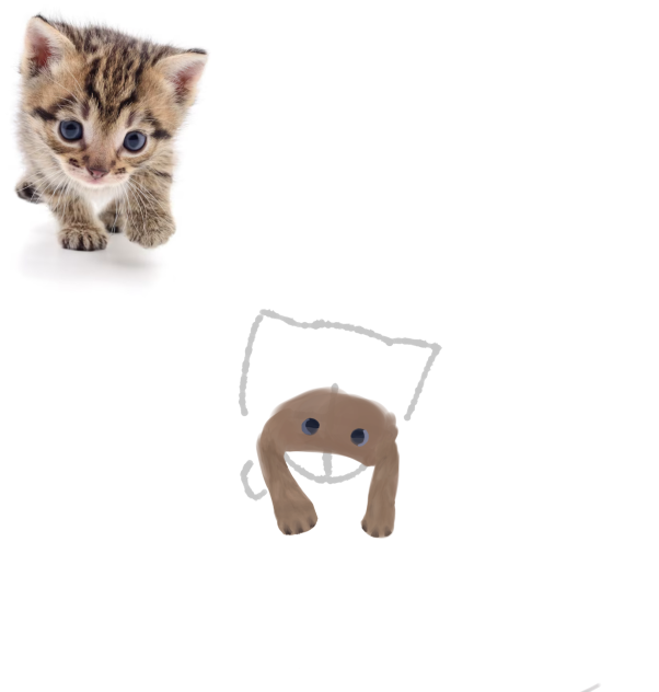 WIPP🐈‍⬛