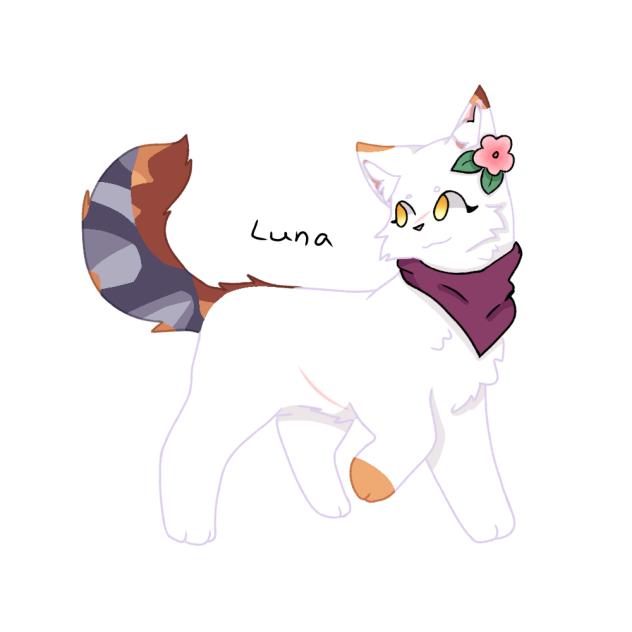 Luna warrior cat OC