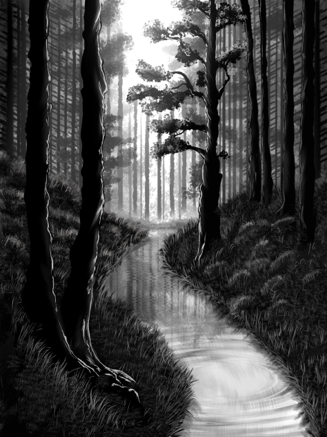 Forest river