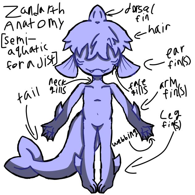 ZANDARTH ANATOMY AQUATIC EDITION