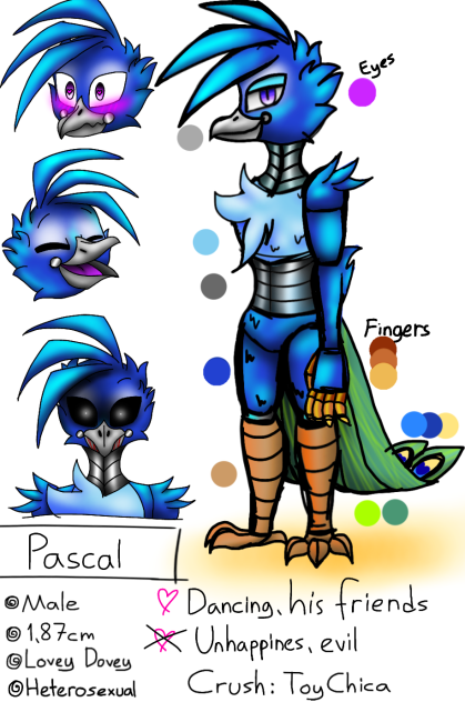 Pascal The Peacock