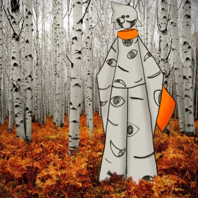 The aspen trees are watching.