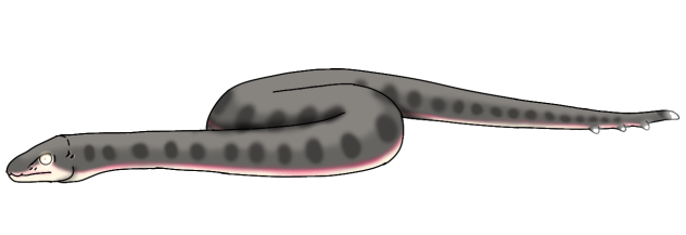 Gray Rock Bamza glows2