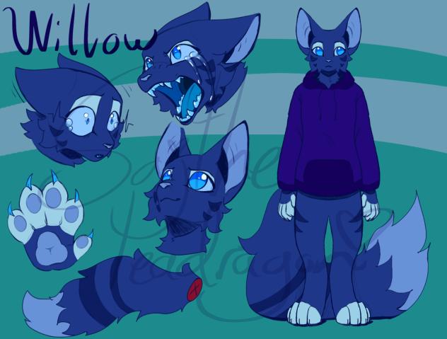 Willow ref sheet