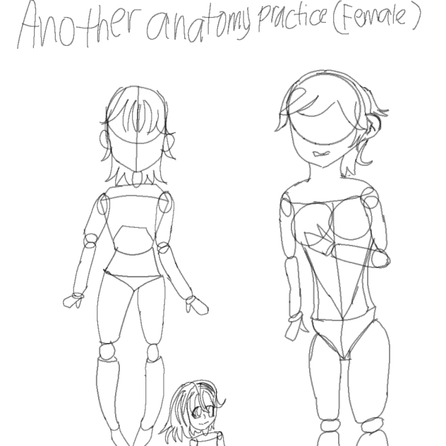 Anatomy Practice (Female)