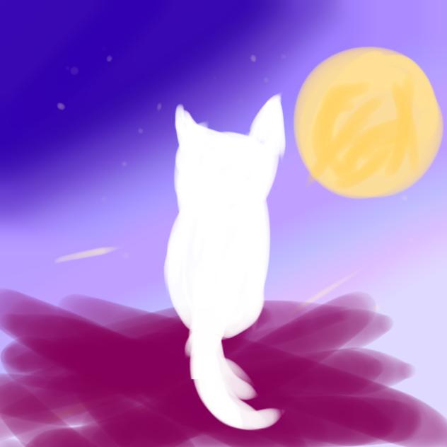 猫の墓参り