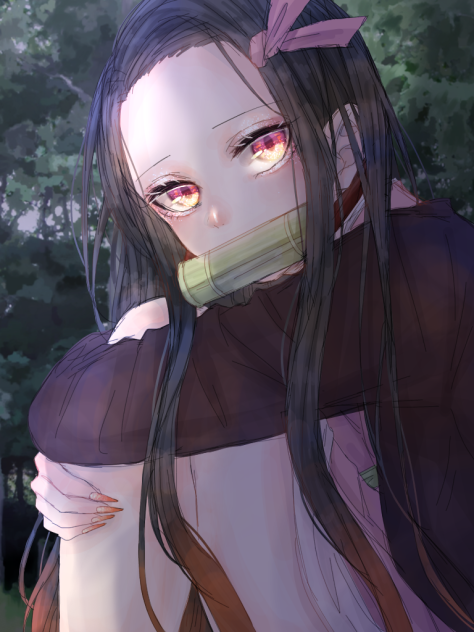 禰豆子