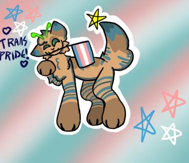 Trans pride!🏳️‍⚧️🏳️‍⚧️