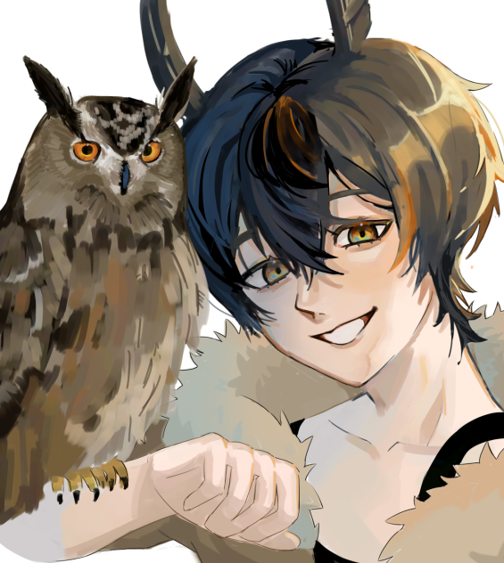 🦉